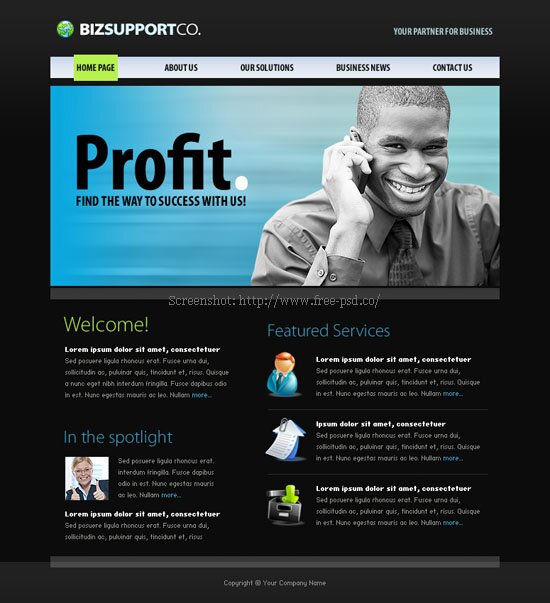 BizSupportCo PSD Template