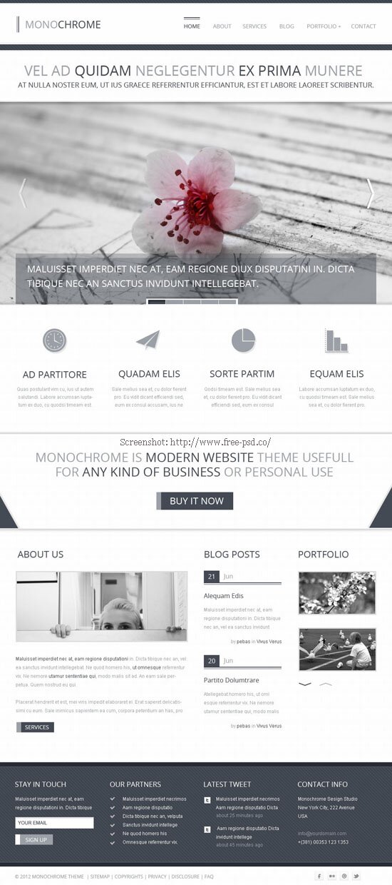 Monochrome PSD Template