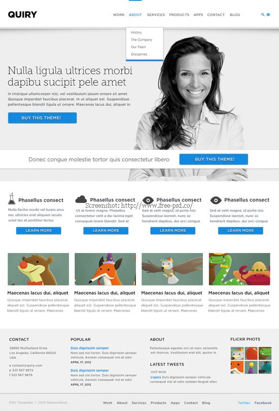 Quiry PSD Template