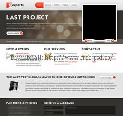 2experts PSD Template