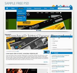 Sample PSD Template